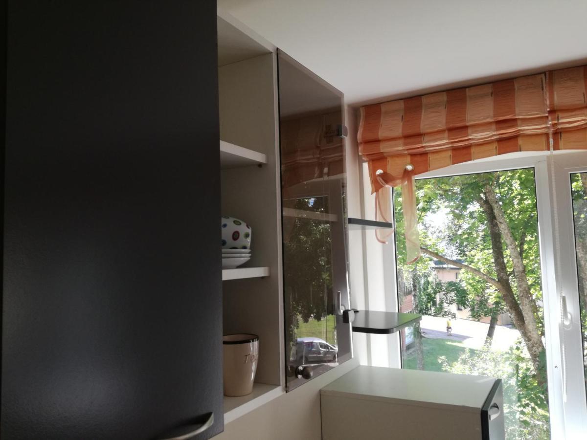 Apartment For Rent ดรูซกินินไก ภายนอก รูปภาพ